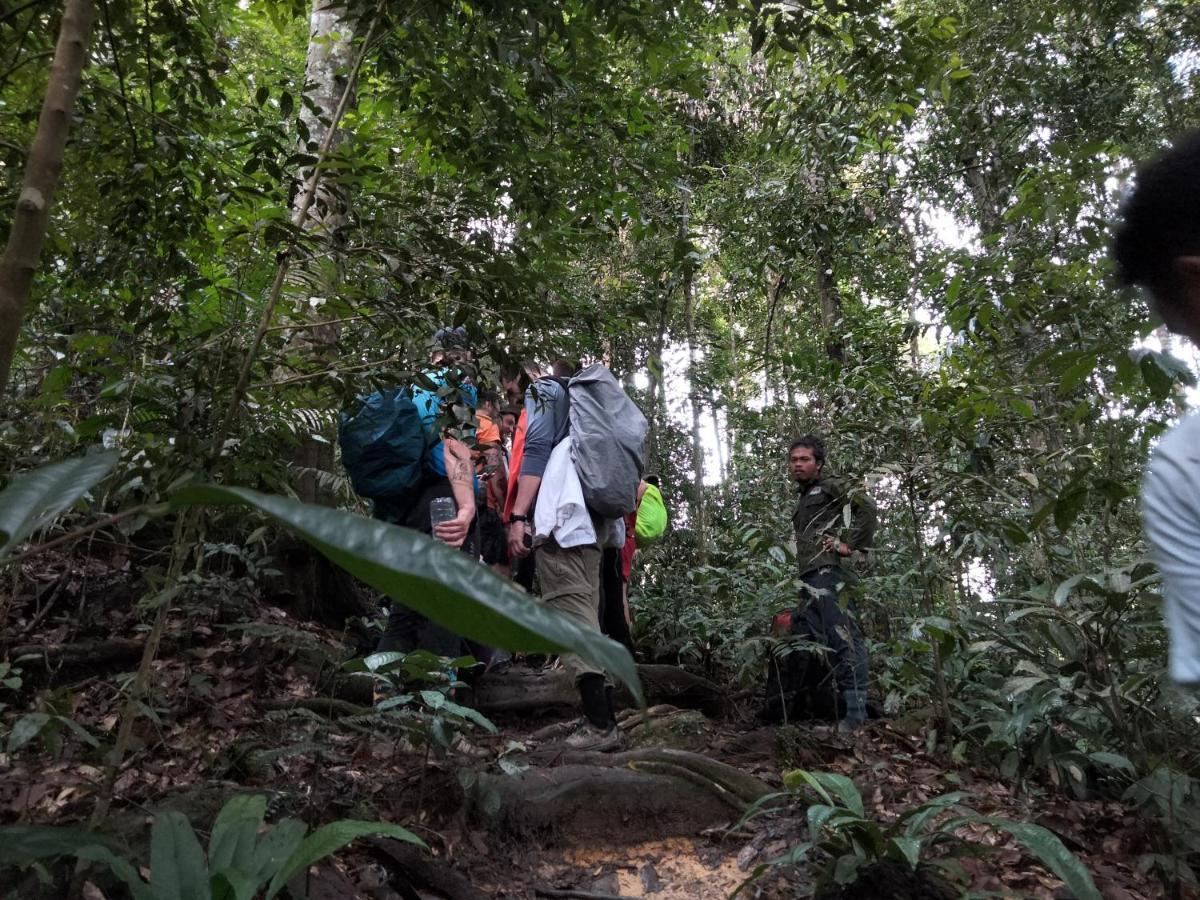 Asim Paris Guesthouse & Jungle Trekking Bukit Lawang Buitenkant foto