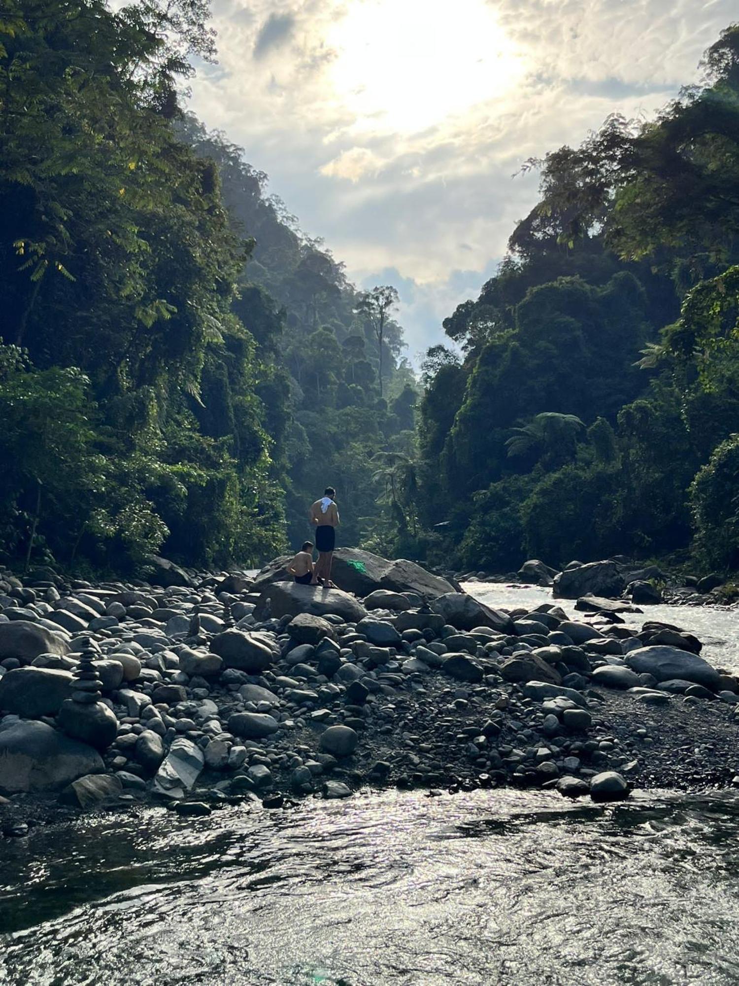 Asim Paris Guesthouse & Jungle Trekking Bukit Lawang Buitenkant foto