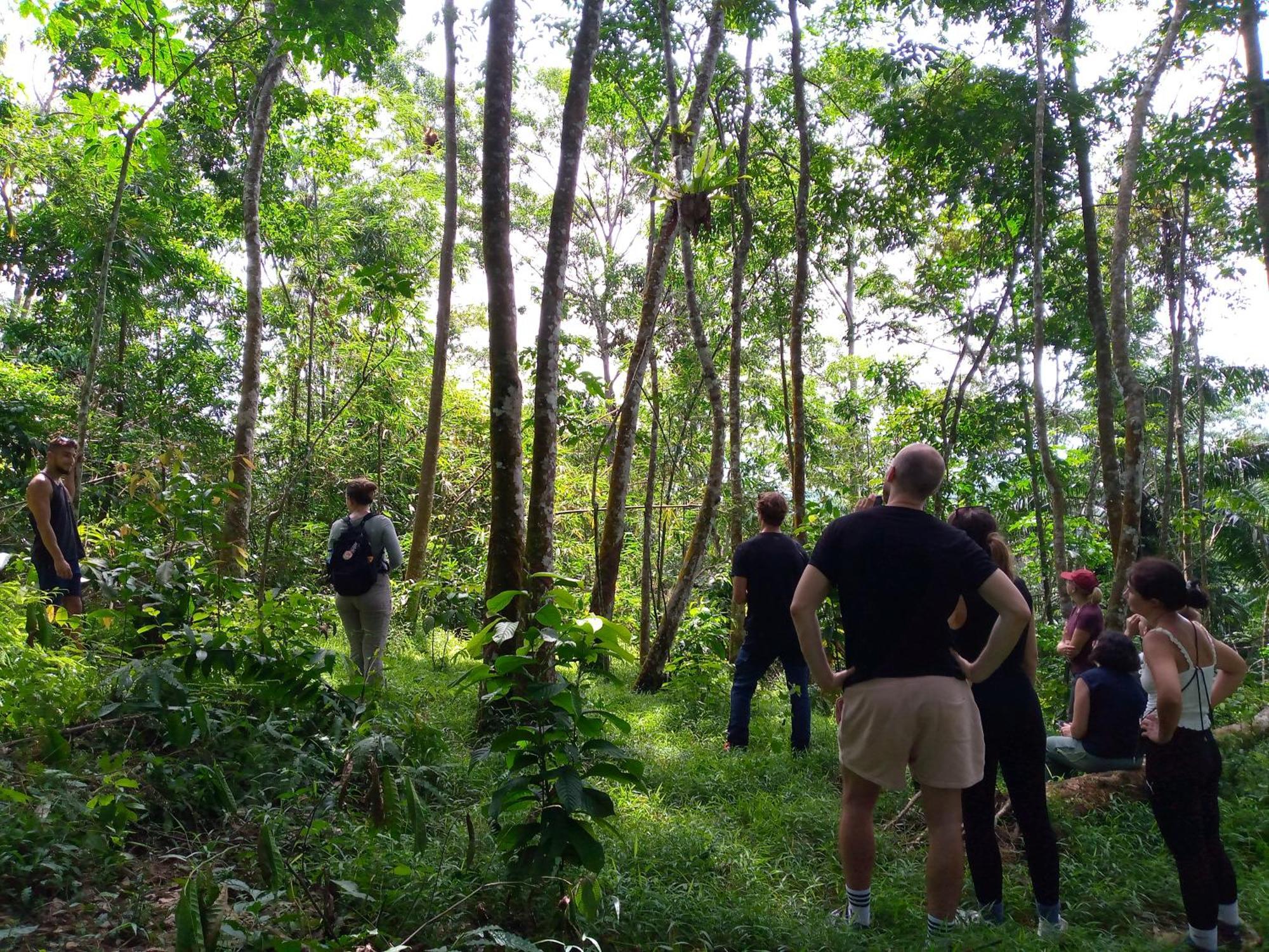 Asim Paris Guesthouse & Jungle Trekking Bukit Lawang Buitenkant foto