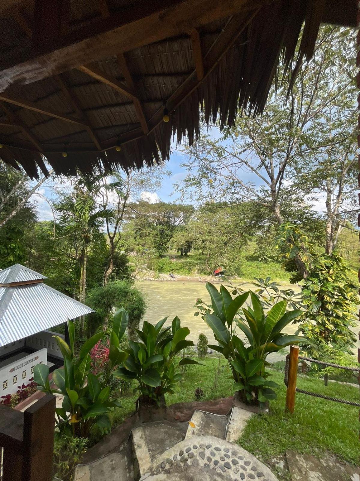 Asim Paris Guesthouse & Jungle Trekking Bukit Lawang Buitenkant foto