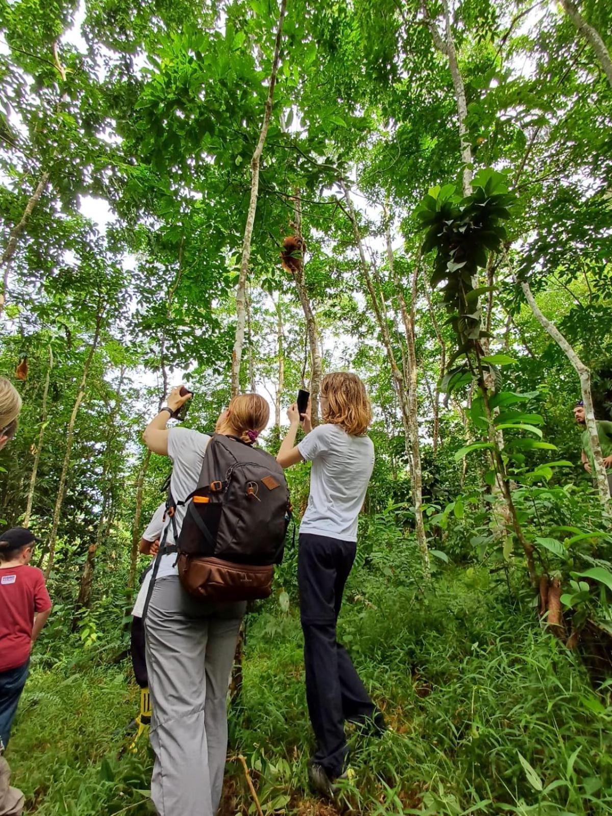 Asim Paris Guesthouse & Jungle Trekking Bukit Lawang Buitenkant foto