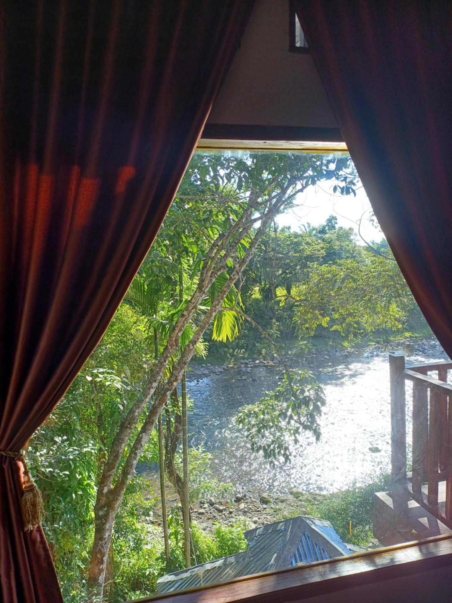 Asim Paris Guesthouse & Jungle Trekking Bukit Lawang Buitenkant foto